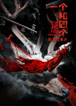 《一个和四个》独家纪录片 海报 高清在线观看