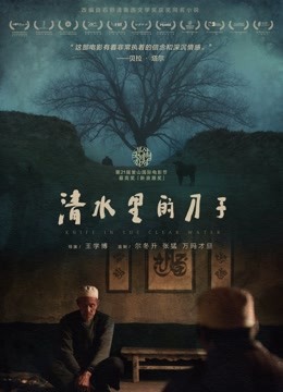 清水里的刀子 海报 高清在线观看