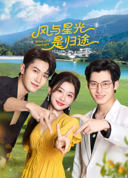 风与星光是归途 海报 高清在线观看