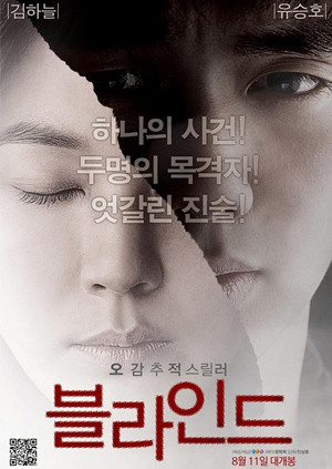 盲证 海报 高清在线观看