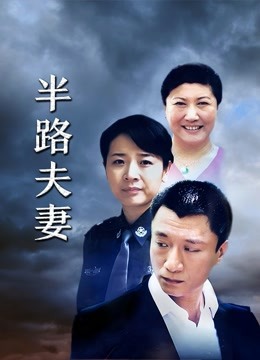 半路夫妻 海报 高清在线观看