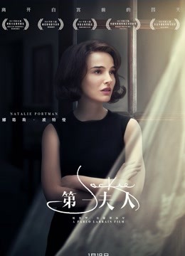 第一夫人（普通话） 海报 高清在线观看