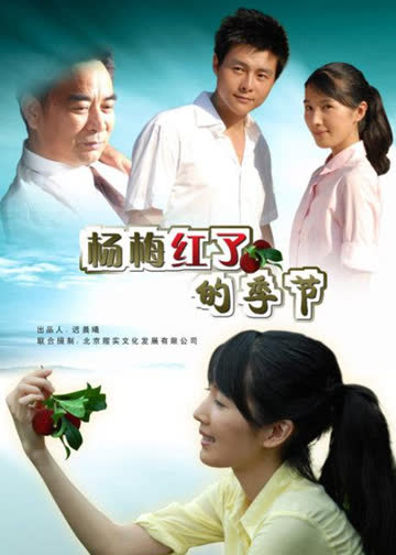 杨梅红了的季节 海报 高清在线观看