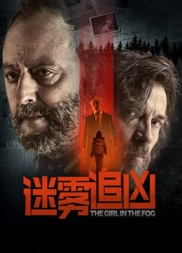 迷雾追凶 海报 高清在线观看