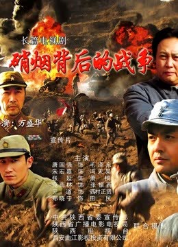 硝烟背后的战争 海报 高清在线观看