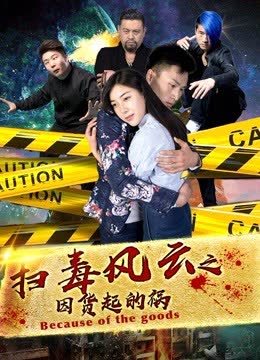 扫毒风云之因货起的祸 海报 高清在线观看
