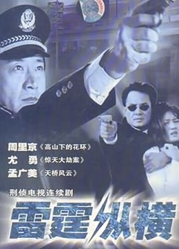 雷霆纵横 海报 高清在线观看
