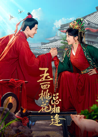 玉面桃花总相逢 卫视版 海报 高清在线观看