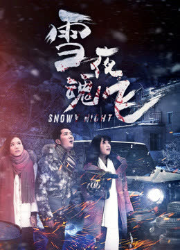 雪夜魂飞 海报 高清在线观看