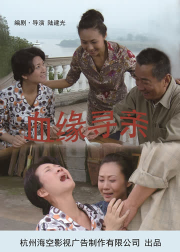 血缘寻亲 海报 高清在线观看