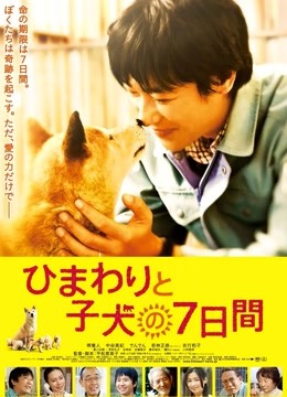 向日葵与幼犬的7天 海报 高清在线观看