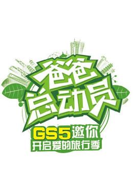 爸爸总动员 海报 高清在线观看
