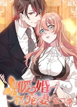 重生暖婚轻宠妻 动态漫画 第二季 海报 高清在线观看