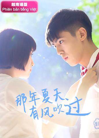 那年夏天有风吹过 越南语版 海报 高清在线观看
