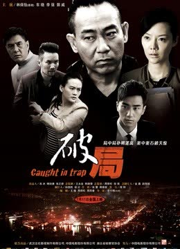 破局（2014） 海报 高清在线观看