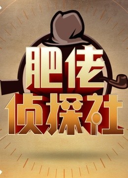肥佬侦探社2014 海报 高清在线观看