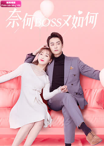 奈何BOSS又如何 越南语版 海报 高清在线观看