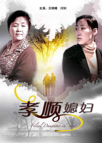 孝顺媳妇 海报 高清在线观看