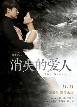 消失爱人 海报 高清在线观看