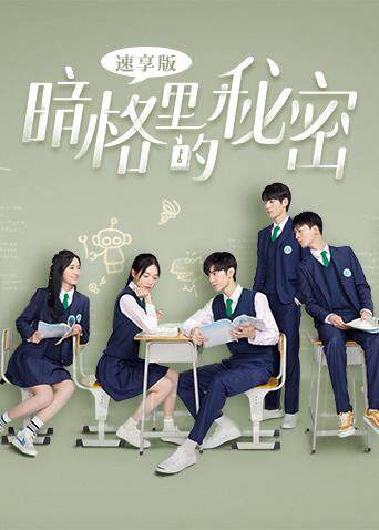 暗格里的秘密 速享版 海报 高清在线观看
