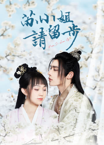 苏小姐请留步 海报 高清在线观看