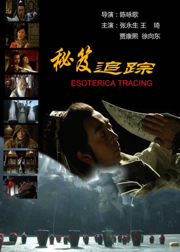秘笈追踪 海报 高清在线观看