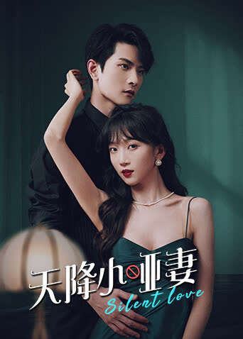 天降小哑妻 海报 高清在线观看