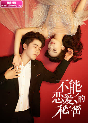 不能恋爱的秘密 越南语版 海报 高清在线观看