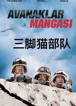三脚猫部队 海报 高清在线观看