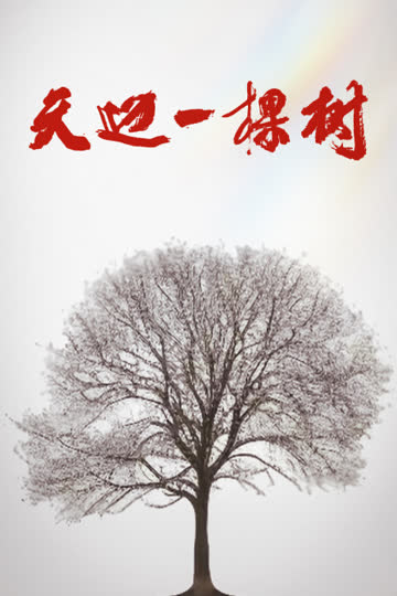 天边一棵树 海报 高清在线观看