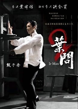 叶问2：宗师传奇 海报 高清在线观看