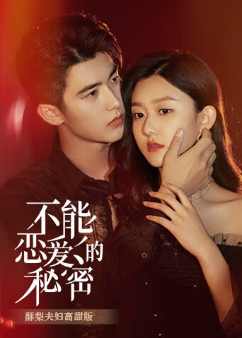 不能恋爱的秘密 酥梨夫妇高甜版 海报 高清在线观看