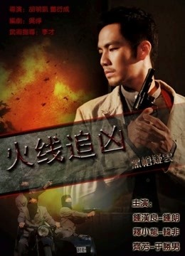火线追凶之黑枪疑云 海报 高清在线观看
