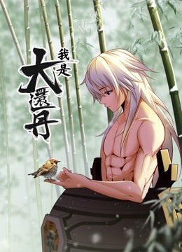 我是大还丹 动态漫画 海报 高清在线观看