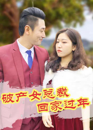 破产女总裁回家过年 海报 高清在线观看