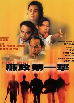廉政第一击 海报 高清在线观看