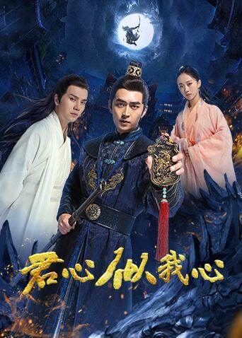 君心似我心 海报 高清在线观看