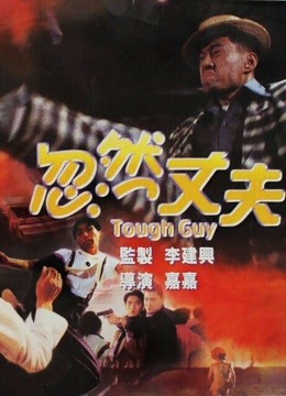 忽然丈夫 海报 高清在线观看