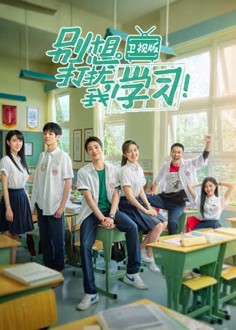 别想打扰我学习 卫视版 海报 高清在线观看