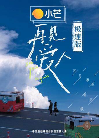 再见爱人 极速版 海报 高清在线观看