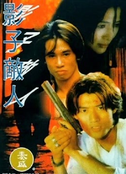 影子敌人（粤语） 海报 高清在线观看