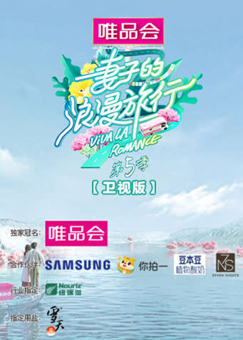 妻子的浪漫旅行5 卫视版 海报 高清在线观看