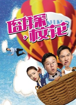 囧探校花 海报 高清在线观看