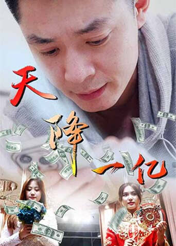 天降一亿 海报 高清在线观看