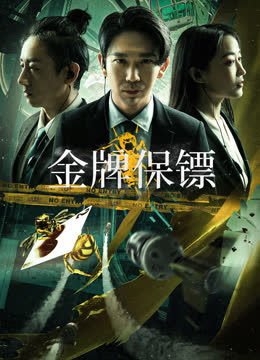 金牌保镖 海报 高清在线观看