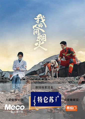 我的人间烟火 海报 高清在线观看
