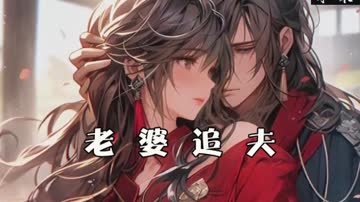 老婆追夫 海报 高清在线观看