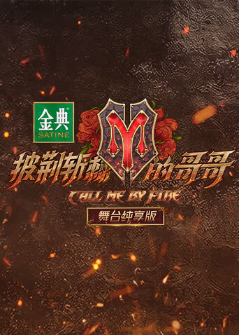 披荆斩棘的哥哥 舞台纯享版 海报 高清在线观看