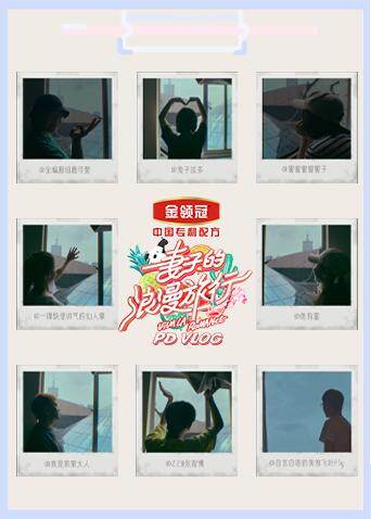 妻子的浪漫旅行4 PDvlog 海报 高清在线观看