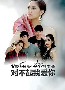 泰版对不起我爱你普通话版 海报 高清在线观看